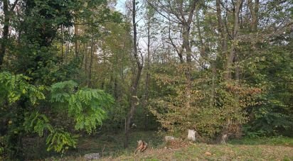 Terreno di 9.300 m² in Rivoli (10098)