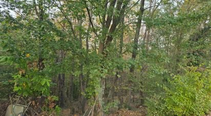 Terreno di 9.300 m² in Rivoli (10098)