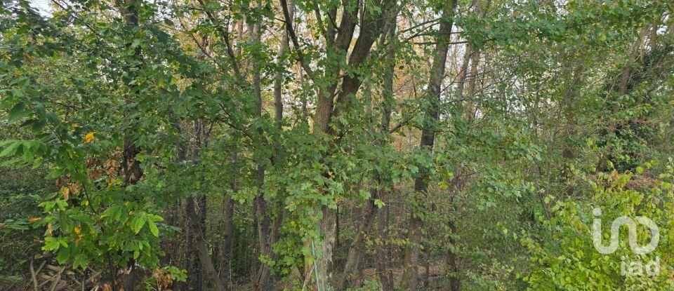 Terreno di 9.300 m² in Rivoli (10098)