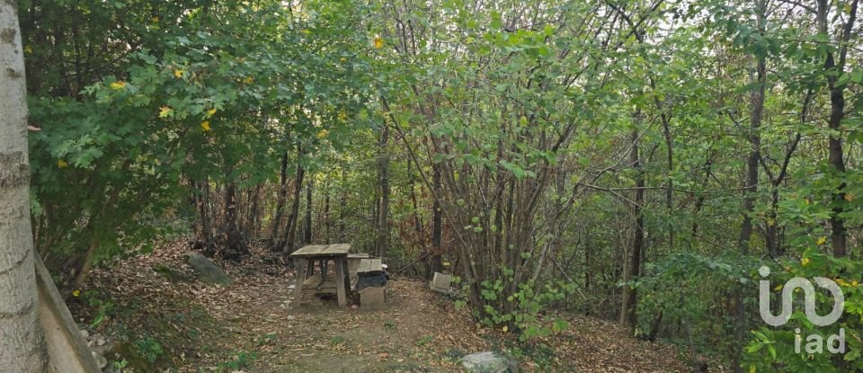 Terreno di 9.300 m² in Rivoli (10098)