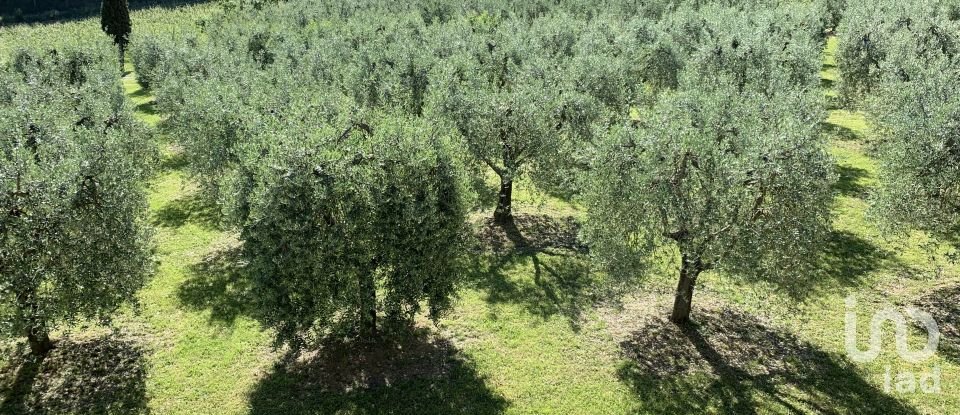 Farm 9 rooms of 203 m² in Montepulciano (53045)