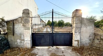 Terreno di 12.910 m² in Noto (96017)