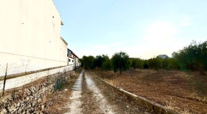 Terreno di 12.910 m² in Noto (96017)