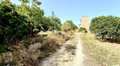 Terreno di 12.910 m² in Noto (96017)