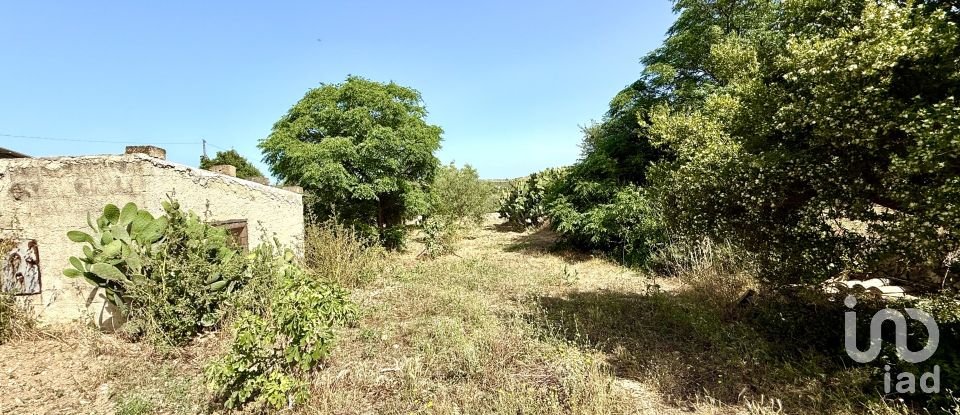 Land of 12,910 m² in Noto (96017)