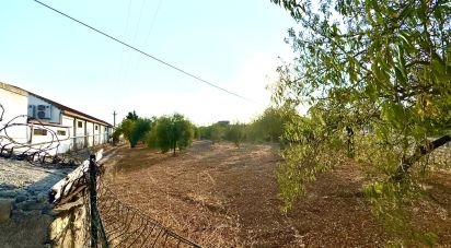 Terreno di 12.910 m² in Noto (96017)