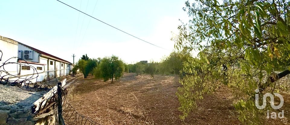 Land of 12,910 m² in Noto (96017)