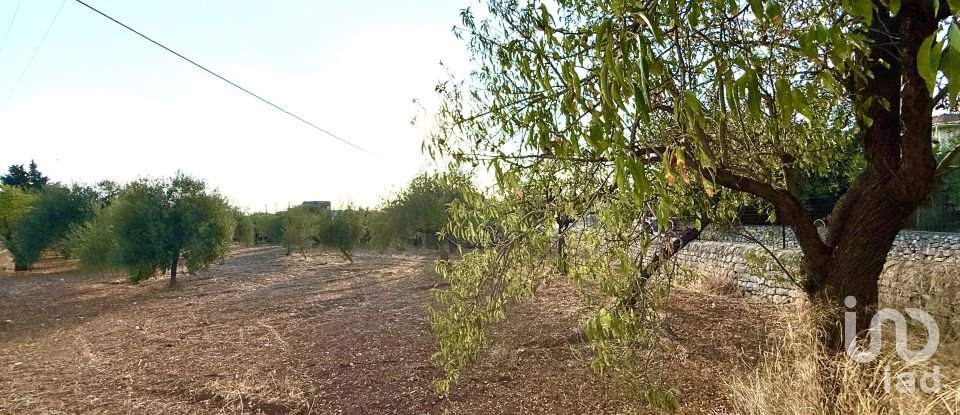 Land of 12,910 m² in Noto (96017)