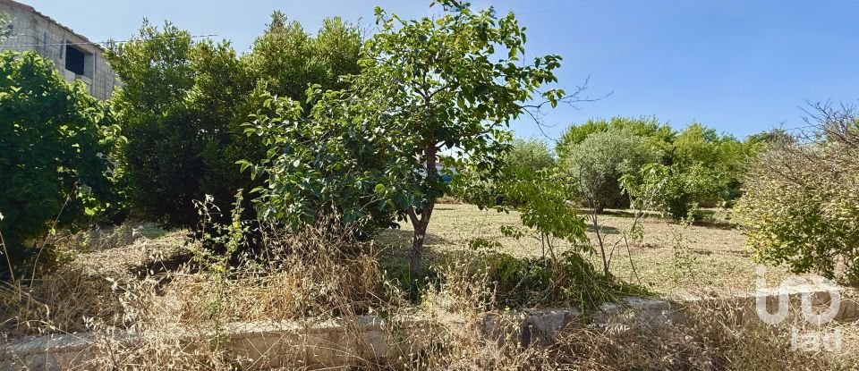 Land of 12,910 m² in Noto (96017)