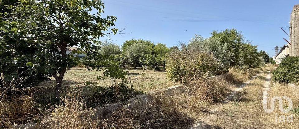 Land of 12,910 m² in Noto (96017)
