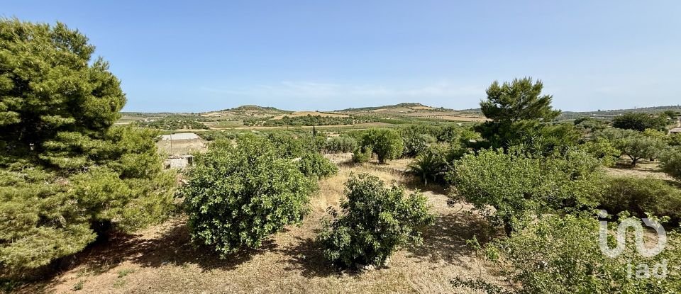 Land of 12,910 m² in Noto (96017)