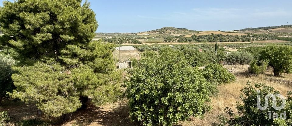 Land of 12,910 m² in Noto (96017)