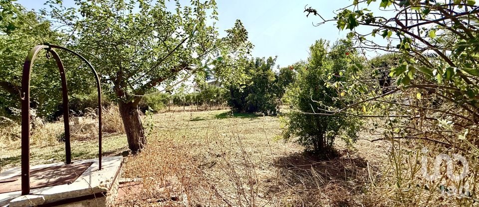 Land of 12,910 m² in Noto (96017)