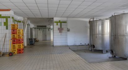 Negozio / locale commerciale di 122 m² in Recanati (62019)