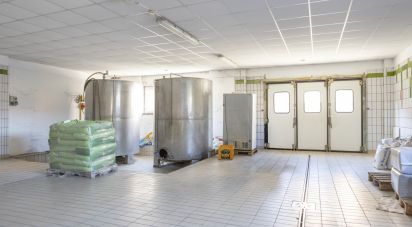 Negozio / locale commerciale di 122 m² in Recanati (62019)