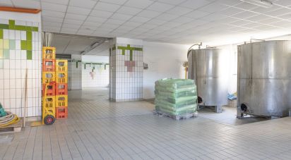 Negozio / locale commerciale di 122 m² in Recanati (62019)