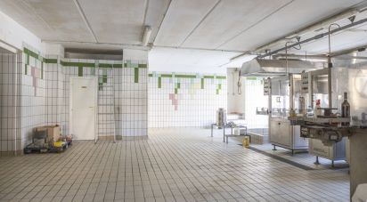 Negozio / locale commerciale di 143 m² in Recanati (62019)