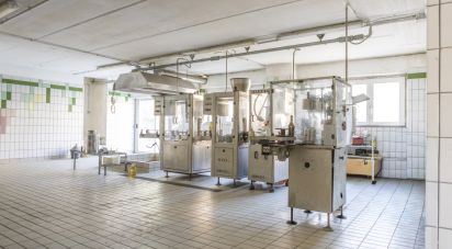 Negozio / locale commerciale di 143 m² in Recanati (62019)