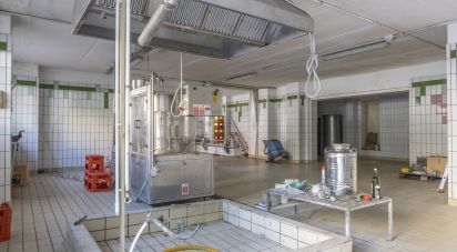 Negozio / locale commerciale di 143 m² in Recanati (62019)