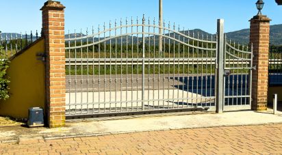 Trilocale di 120 m² a Bastia Umbra (06083)