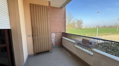 Trilocale di 78 m² a Finale Emilia (41035)