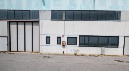 Capannone di 600 m² in Guidizzolo (46040)