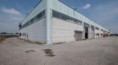 Capannone di 600 m² in Guidizzolo (46040)