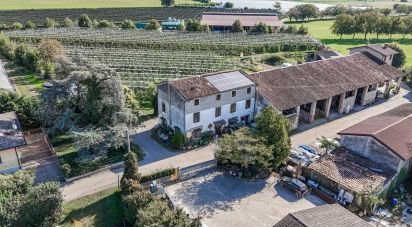Villa Bifamiliare 10 locali di 355 m² in Zevio (37059)