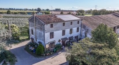 Villa Bifamiliare 10 locali di 355 m² in Zevio (37059)