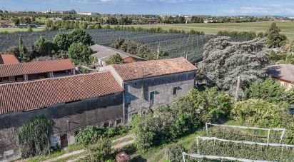 Villa Bifamiliare 10 locali di 355 m² in Zevio (37059)