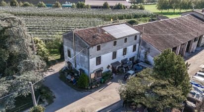Villa Bifamiliare 10 locali di 355 m² in Zevio (37059)