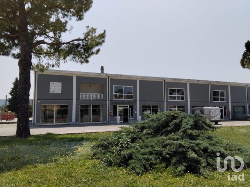 Negozio / locale commerciale di 1.697 m² in Monte Porzio (61040)