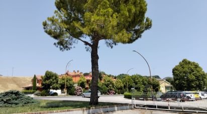 Negozio / locale commerciale di 1.697 m² in Monte Porzio (61040)