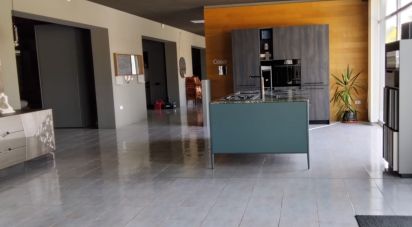 Negozio / locale commerciale di 1.697 m² in Monte Porzio (61040)