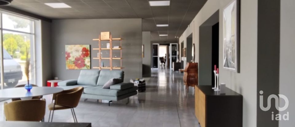 Negozio / locale commerciale di 1.697 m² in Monte Porzio (61040)