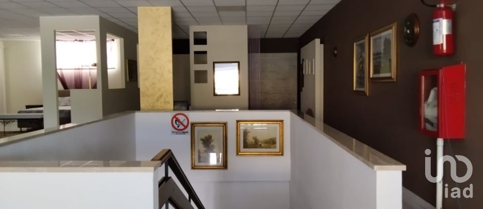 Negozio / locale commerciale di 1.697 m² in Monte Porzio (61040)