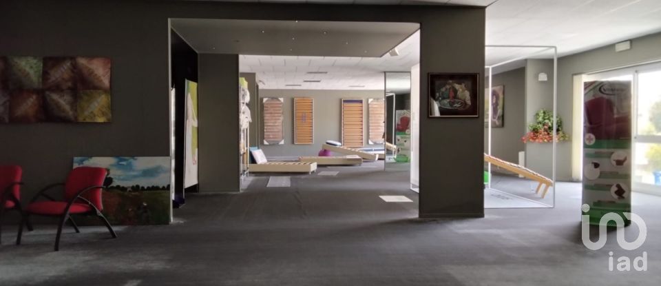 Negozio / locale commerciale di 1.697 m² in Monte Porzio (61040)