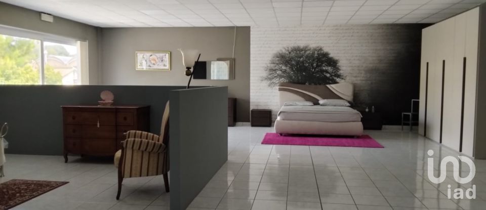 Negozio / locale commerciale di 1.697 m² in Monte Porzio (61040)