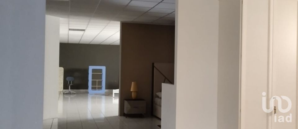 Negozio / locale commerciale di 1.697 m² in Monte Porzio (61040)