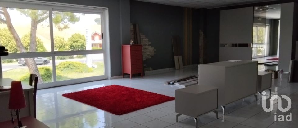 Negozio / locale commerciale di 1.697 m² in Monte Porzio (61040)