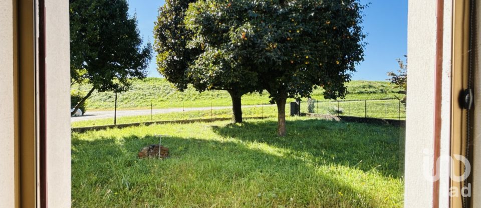 Casa indipendente 5 locali di 192 m² in Santo Stino di Livenza (30020)