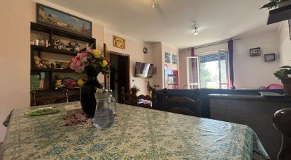 Trilocale di 100 m² a San Felice sul Panaro (41038)