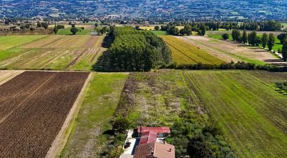 Casa indipendente 9 locali di 240 m² in Assisi (06081)