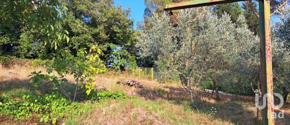 Terreno di 750 m² in Pontassieve (50065)