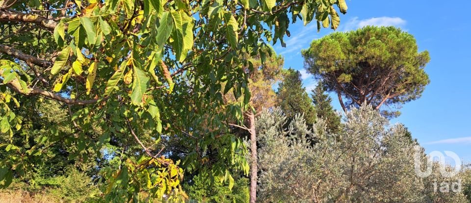 Terreno di 750 m² in Pontassieve (50065)