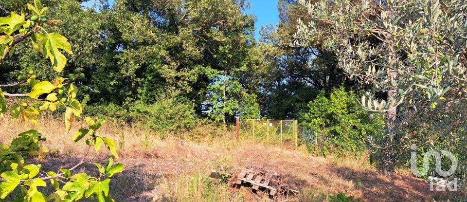 Terreno di 750 m² in Pontassieve (50065)