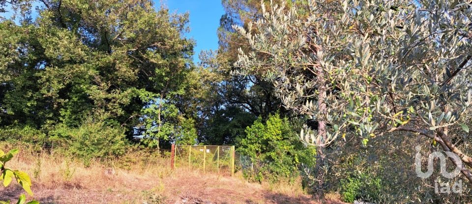 Terreno di 750 m² in Pontassieve (50065)