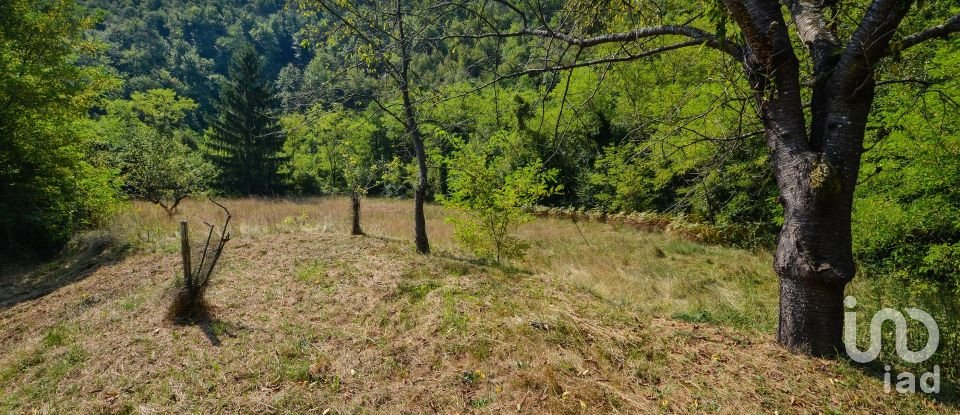 Casa indipendente / Villa 8 locali di 150 m² in Dego (17058)