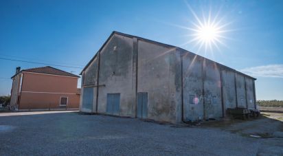 Casa indipendente / Villa 7 locali di 280 m² in Copparo (44034)