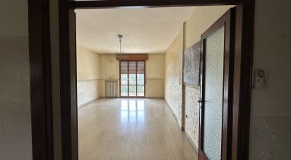 Trilocale di 100 m² a Novi di Modena (41016)